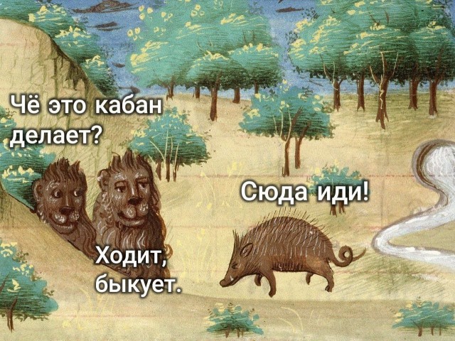 Картинки для деградации 202 (разной степени свежести)