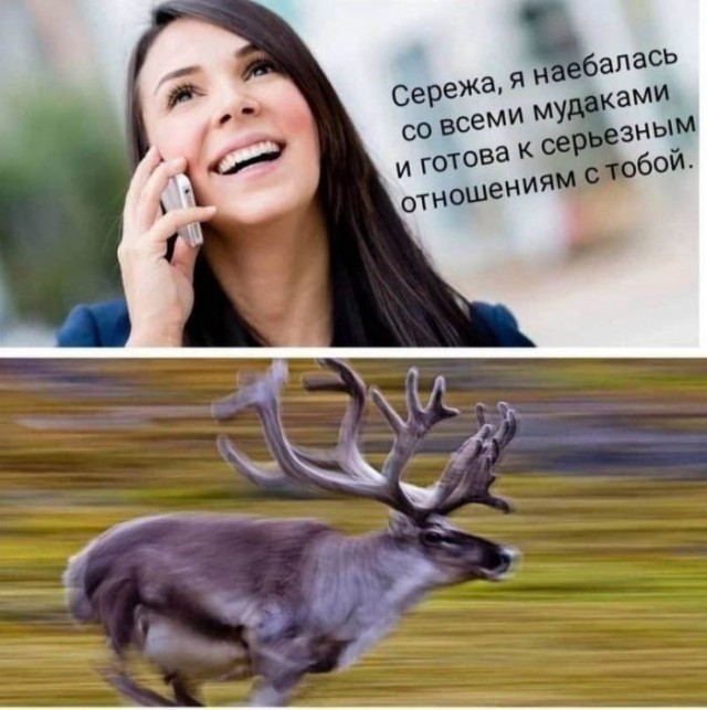 Картиночки, баянчики 18 июня