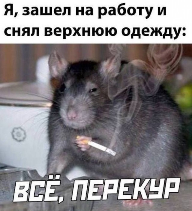Картиночки, баянчики 25 июня
