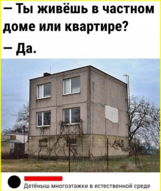Веселое настроение в картинках 18.08.26