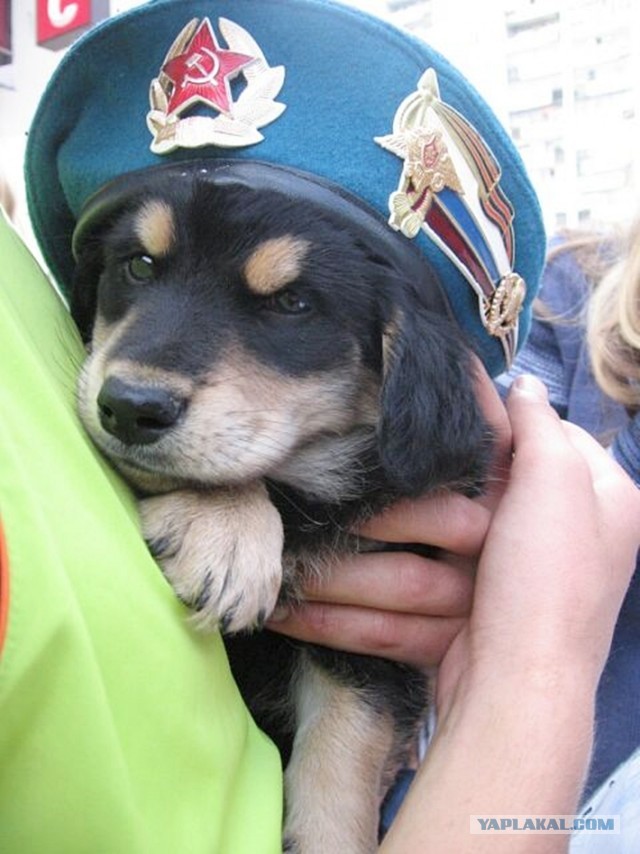 День ВДВ
