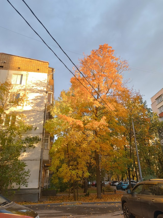 Все краски осени