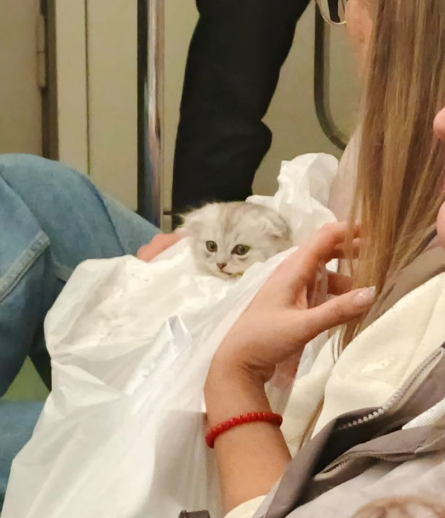 Кому-то счастье привалило!
