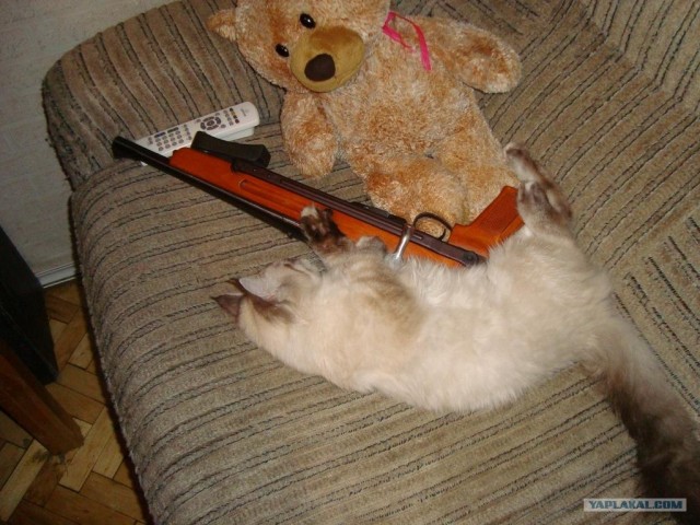 Школьник изобрел боевую винтовку