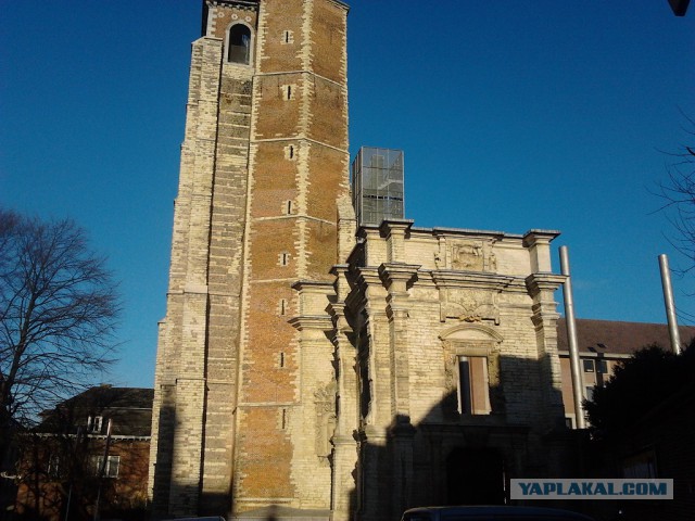 Где яблоки растут!