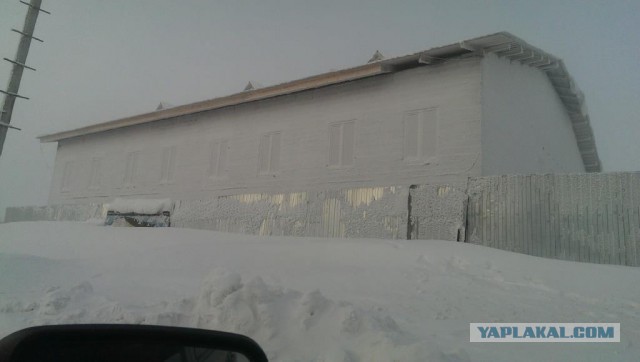 Заполярье ЯНАО