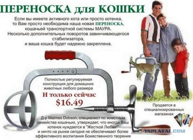 Следуй за мной