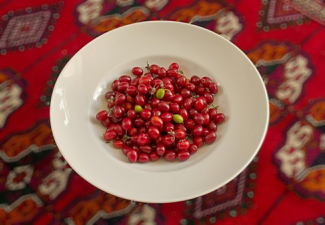 Кулинарная общалка
