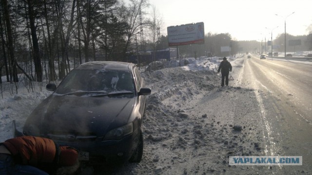 Перепись субароводов ЯПа