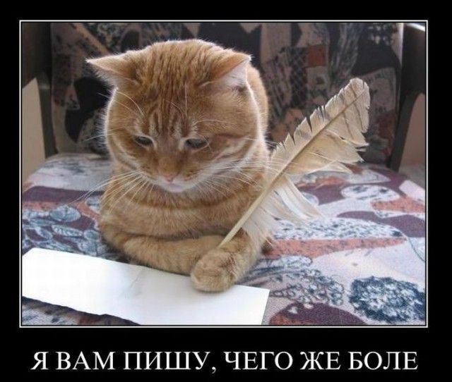 Немного картинок с просторов