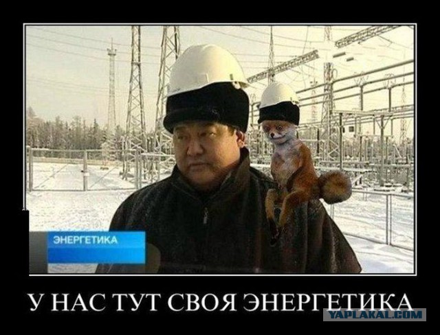 На что готовы японки если их хорошо попросить?