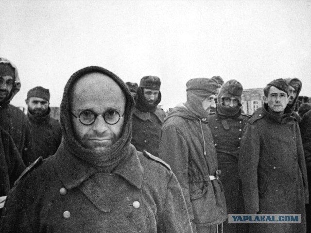 Отчеты о войне