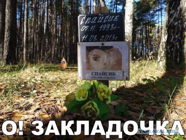 Нелегальные кладбища животных