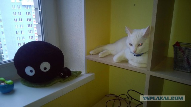 Истинный альбинос