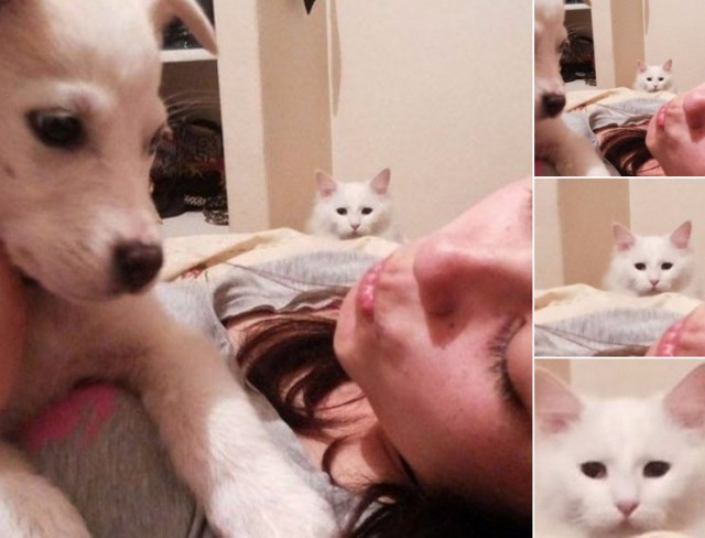 Теперь она с другим