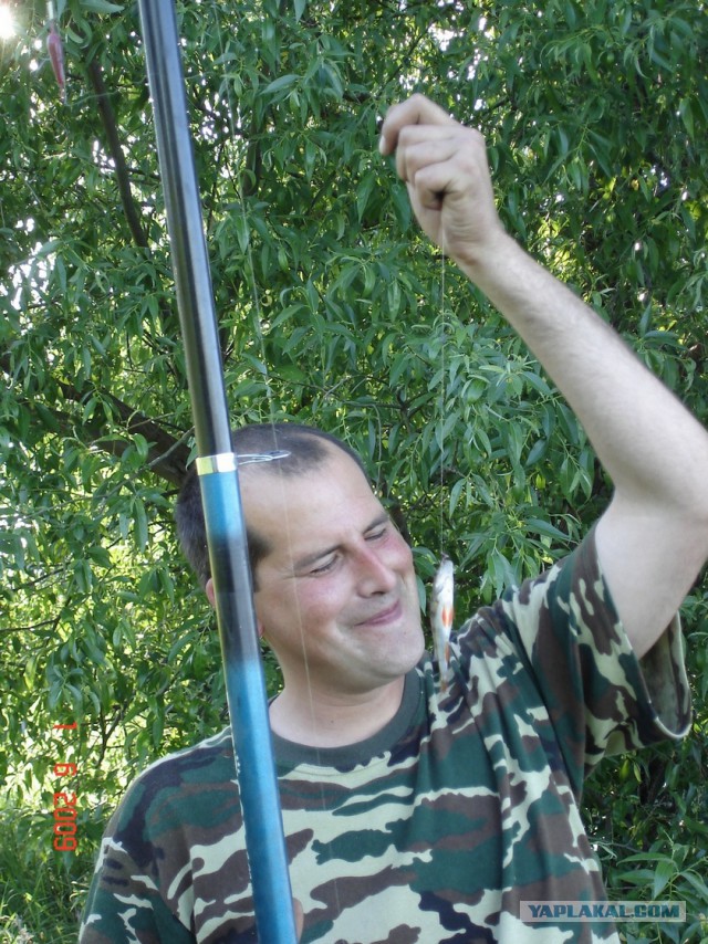 Просто природа, место где я живу