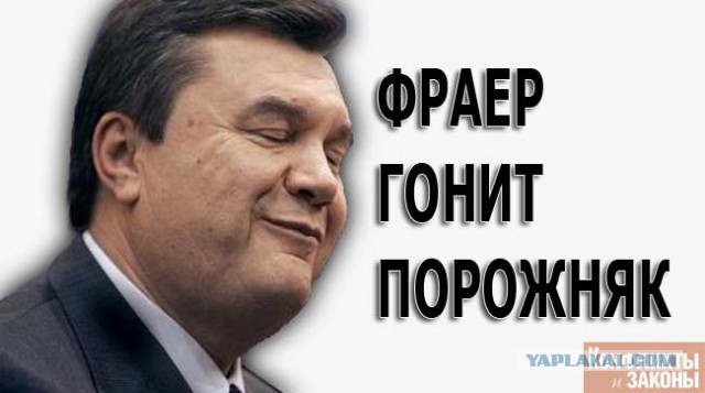Развелся с женой и теперь пока что живу в заброшенном хлеве