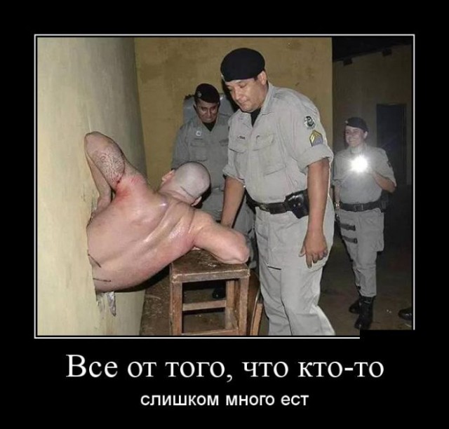 Демы без Темы