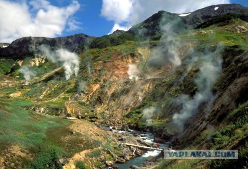 80% британцев готовы переехать в РФ, если им дадут бесплатно землю