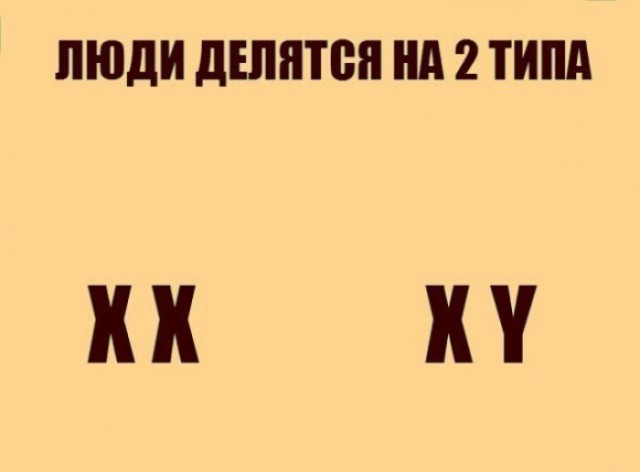 Учёные шутят