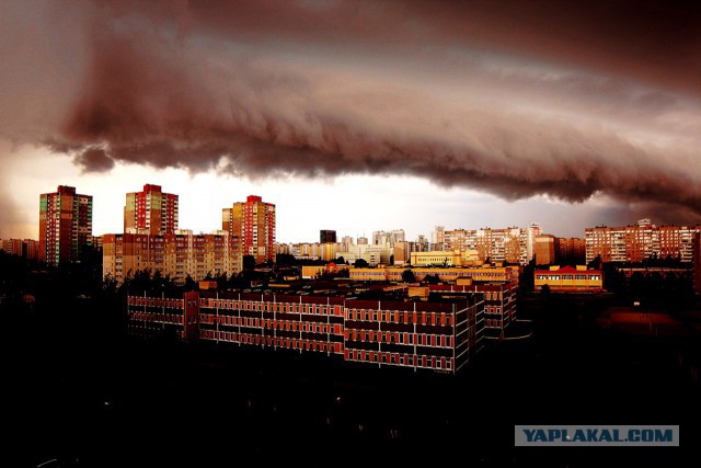 Тачки разбитые ураганом в Минске сегодня. Оригинальные отборные фото!