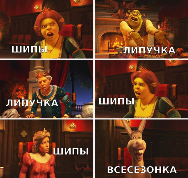 Опрос. Что выбирает ЯП, шипы или липучка