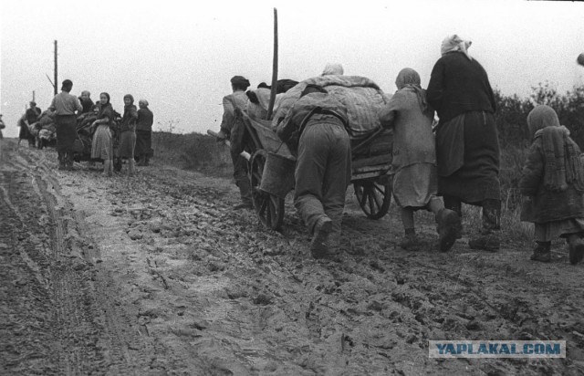 1941-1942. Смоленск в цвете