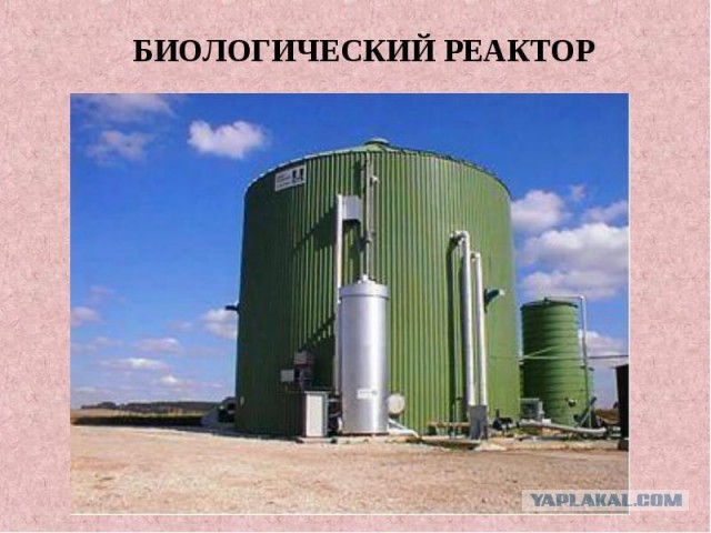 Дочерью депутата, устроившей матерную разборку в Екатеринбурге, заинтересовалась прокуратура