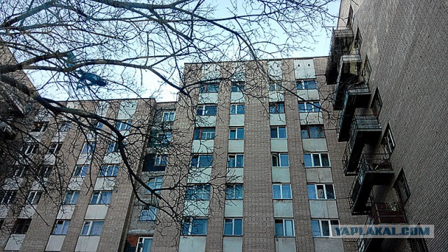 Россия - Родина суровых людей