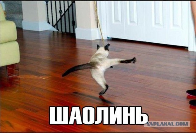 Картинки всякие для поднятия настроения