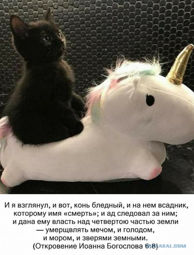 Подборка разного из сети
