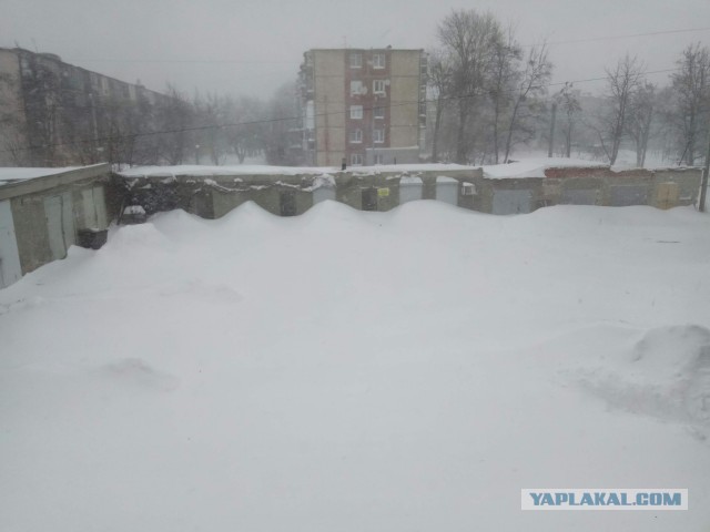 Вот и пришла весна!