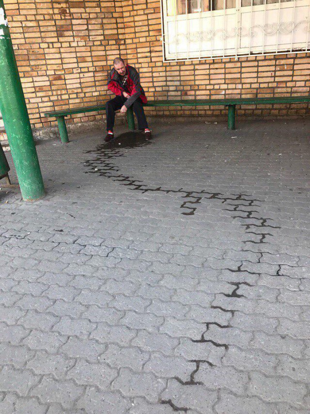 Скотсети и прочие интернеты 22.02.19