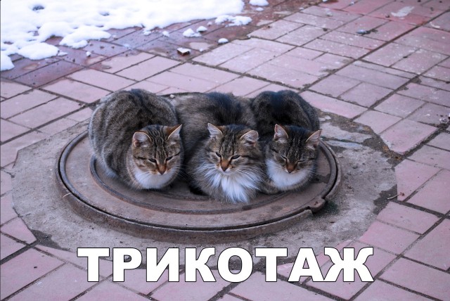 Нестандартный юмор