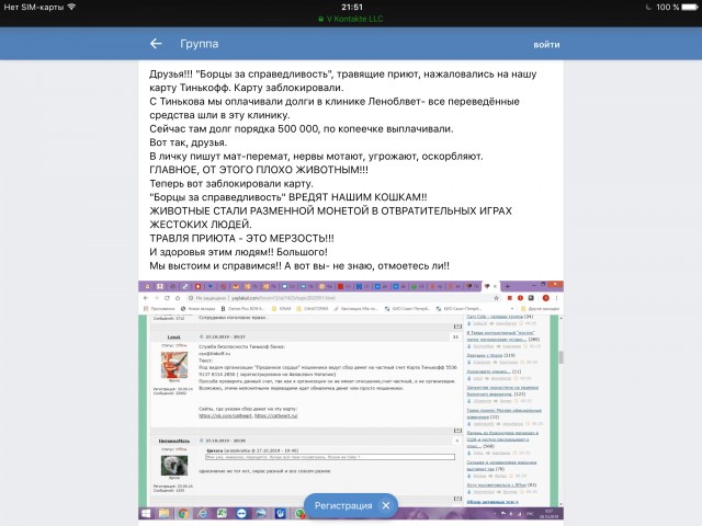 Помогите вернуть кота! Приют "Преданное сердце" украл кота и не отдает!