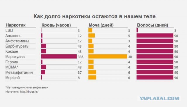 Более чем на 1000 процентов вырастет комиссия за справку от нарколога для получения и смены водительского удостоверения