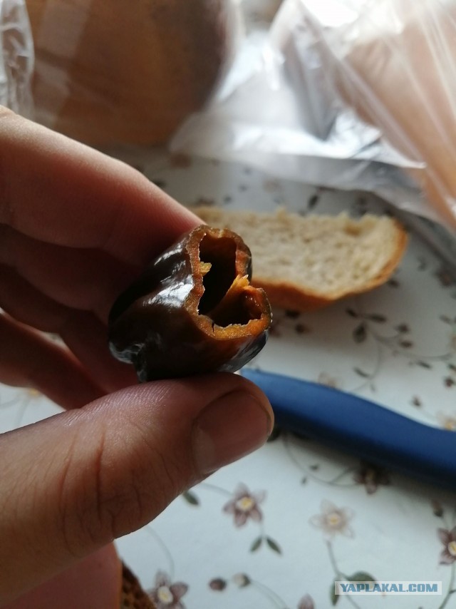 Выращивания перцев пост