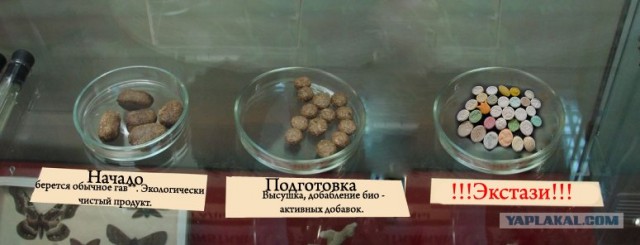 Удивительное рядом
