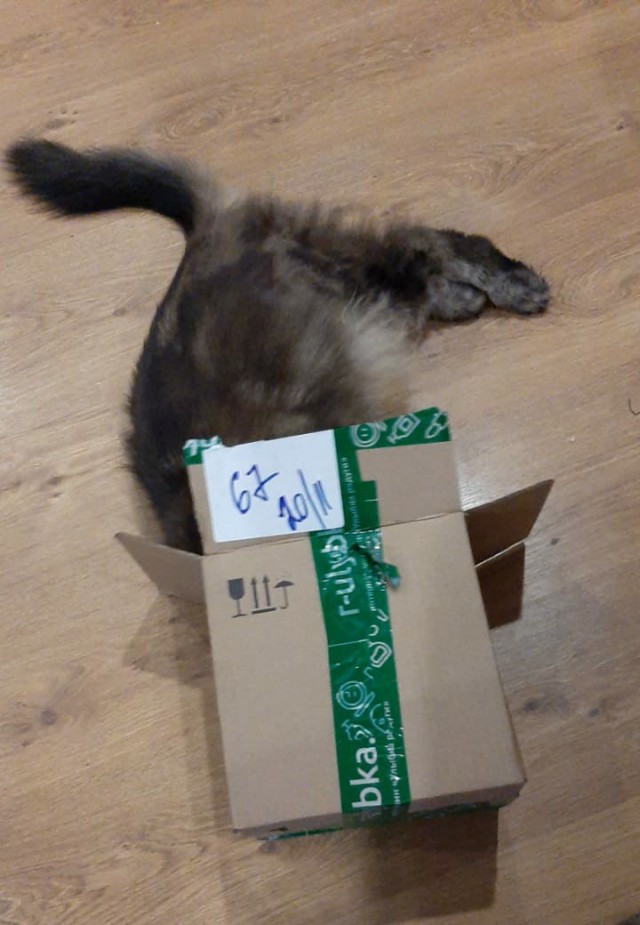 Что это?!