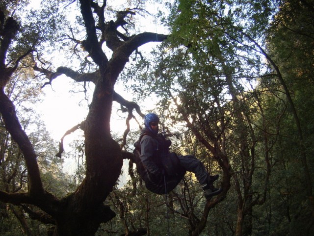 Орел против парапланериста