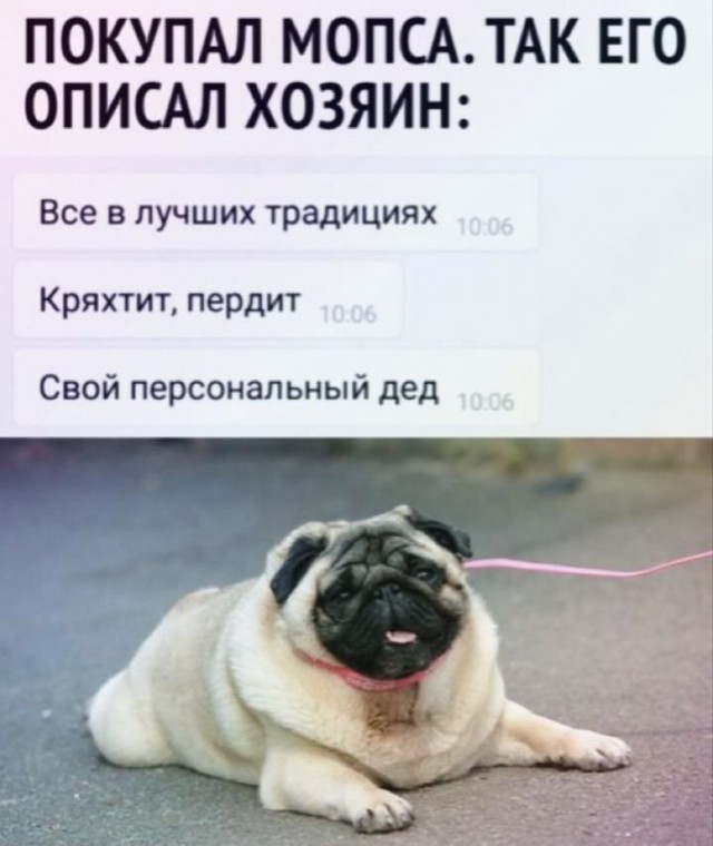 Так себе картинки 14.03.21