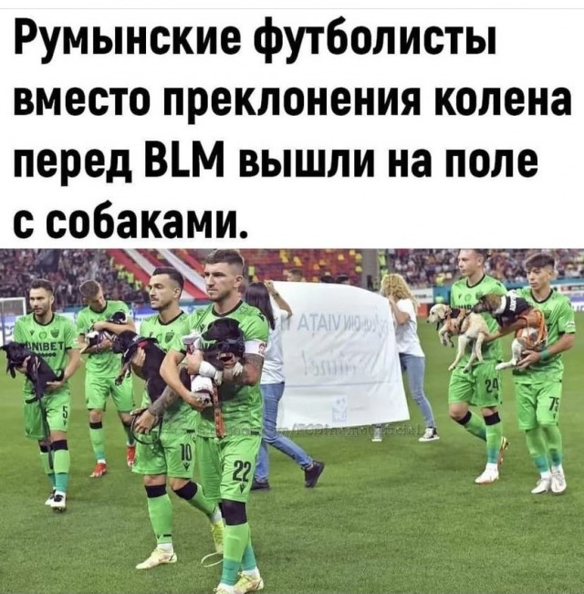 Весёлый полтишок 20.09.