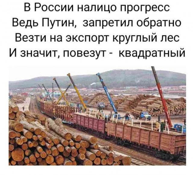 Японцы приобретут лесную компанию на Дальнем Востоке за $525 млн