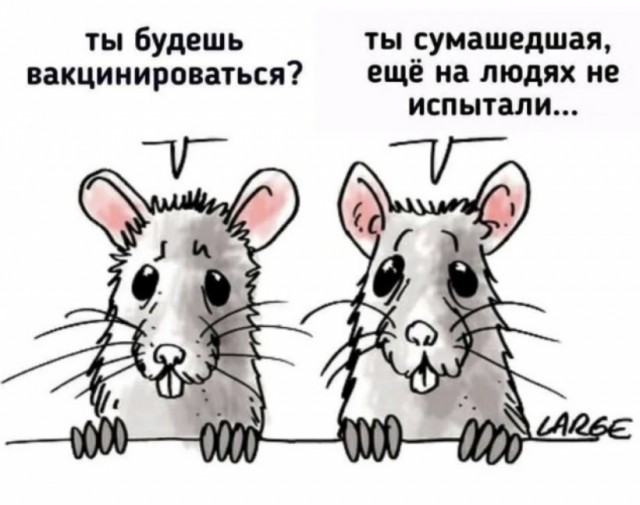 В Москве испытателям подросткового «Спутника» выплатят по ₽15 тысяч