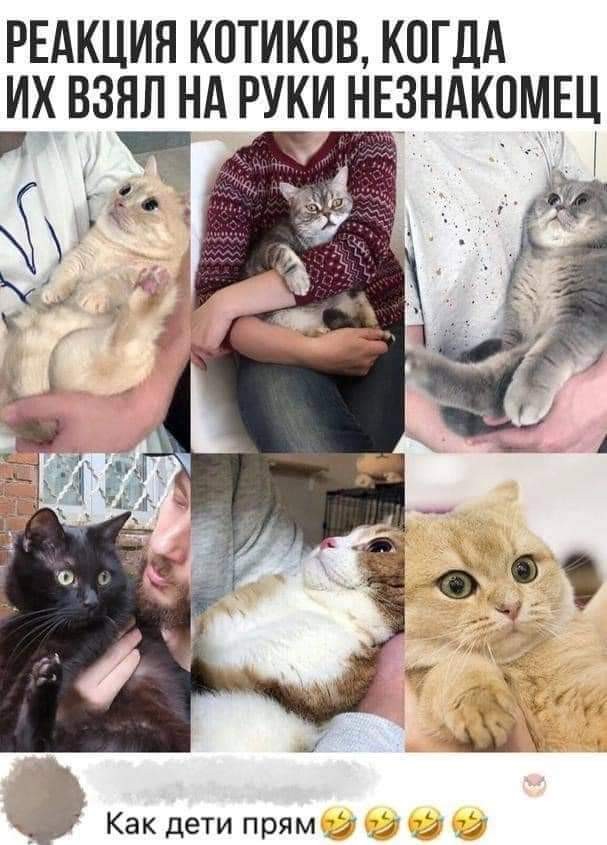 Всяческие картинки 10.01.2022