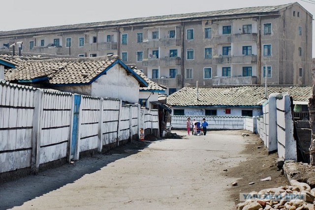 Северная Корея "в цвете"