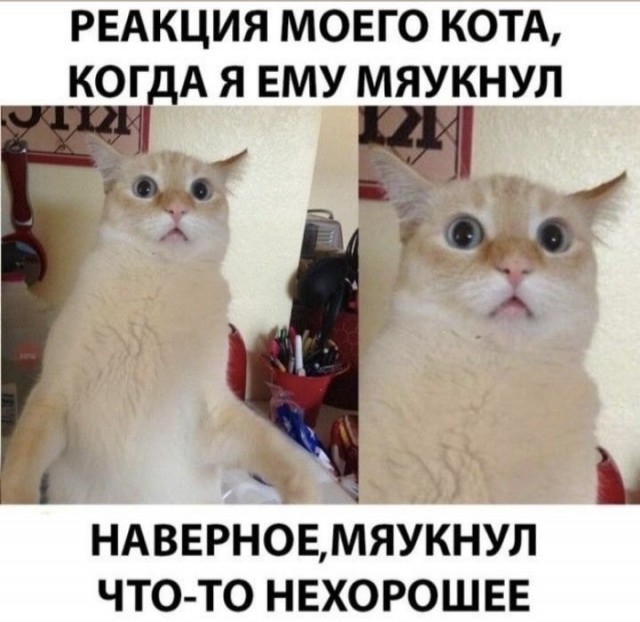 Так себе картинки 17.07.22