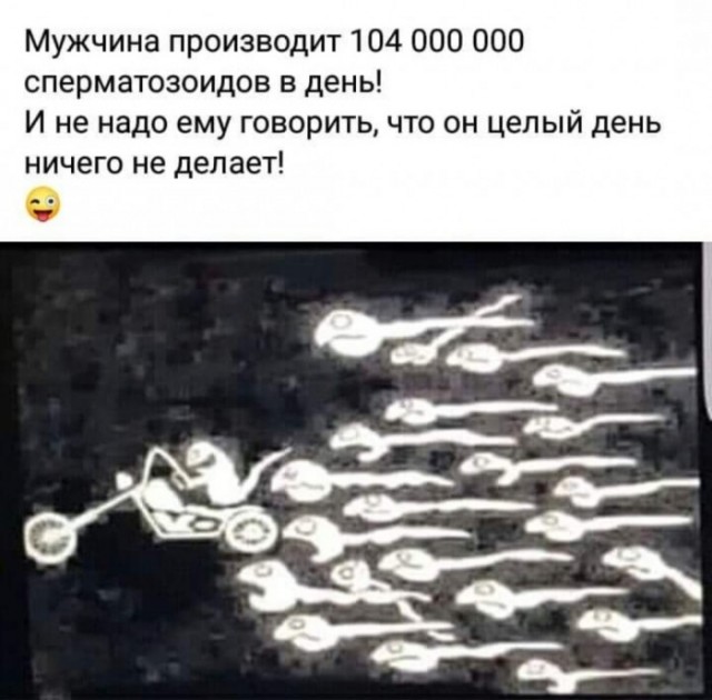 Весёлый полтишок 08.09.22