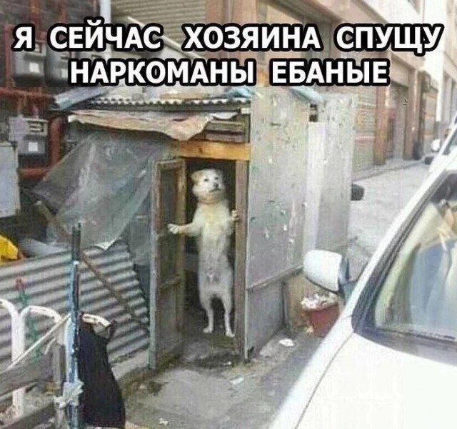 А вы говорили, что ничего такого быть не может, коллеги!
