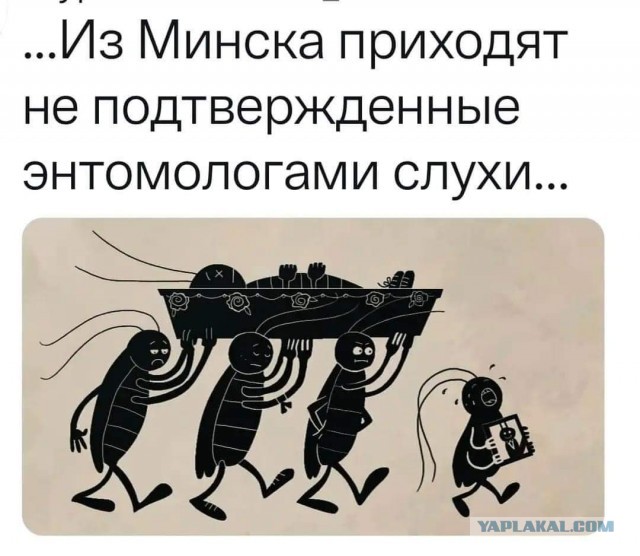 Где Рыгорыч?